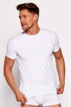 Pánské tričko 00990A white